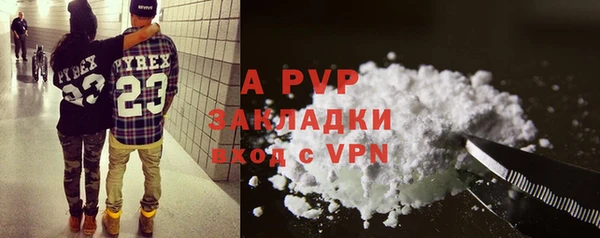 индика Арсеньев