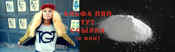 индика Арсеньев