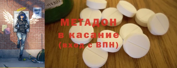 индика Арсеньев