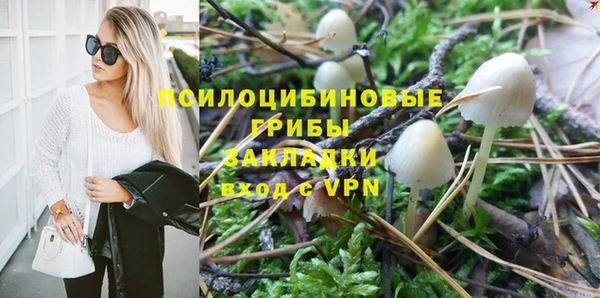 индика Арсеньев