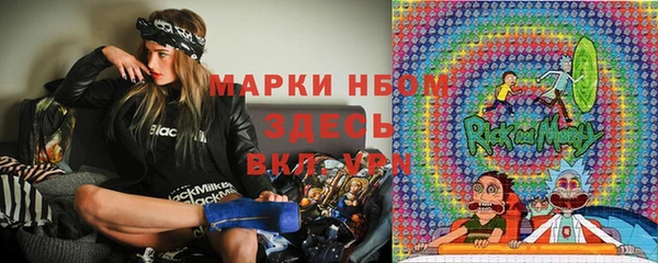 индика Арсеньев