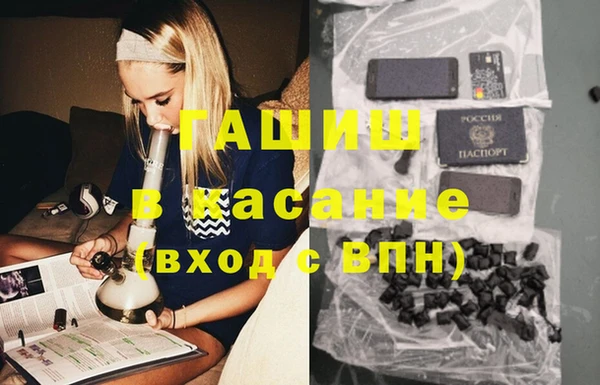 индика Арсеньев